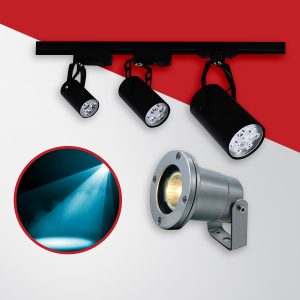 Spotlight